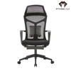 Cadeira Ergonômica ErgoXperience Python Fly – Apoio Lombar e para os Pés